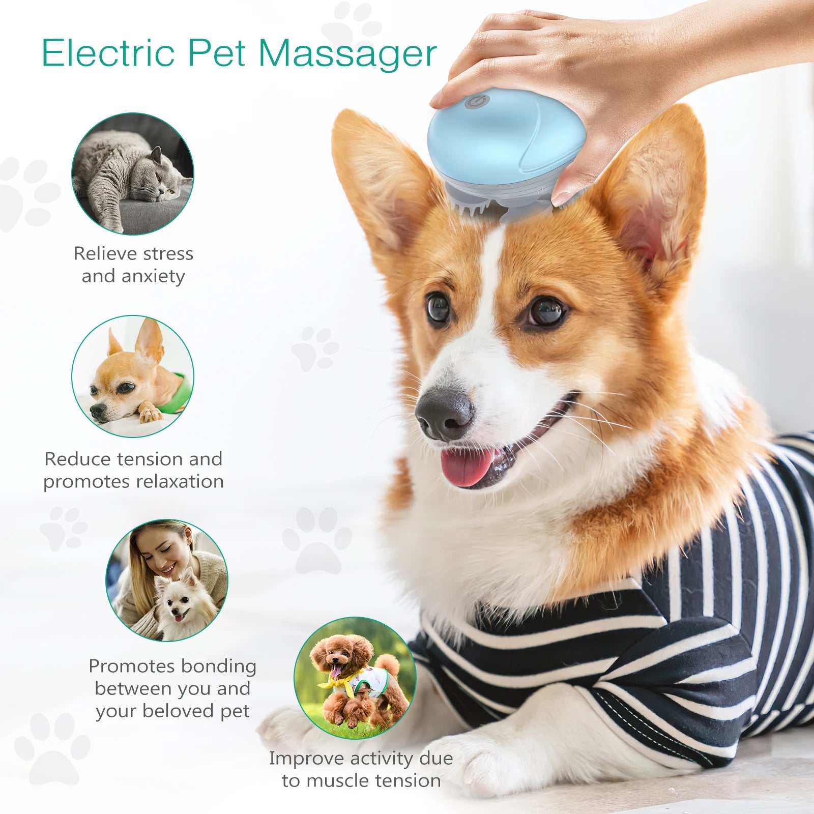 Scalp Massage Electric Pet